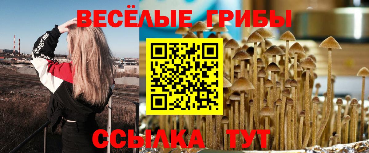 Кушва  Псилоцибиновые грибы MAGIC MUSHROOMS  где продают   Вход с VPN  Псилоцибиновые грибы мухоморы 